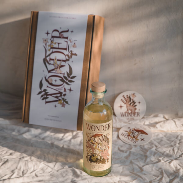 Gin Wonder box 01